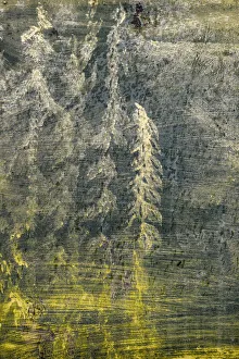 Painterly Prints: USA, Alaska, Wiseman. Paint on an oil drum