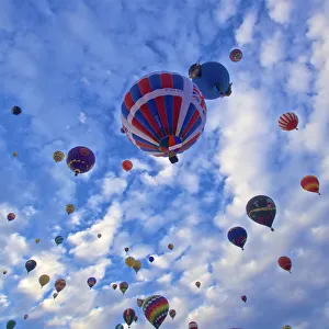 Connie Bransilver Prints: USA, Albuquerque. International Balloon Fiesta
