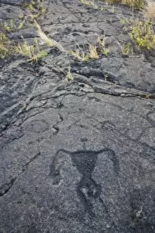 Images Dated 24th February 2007: USA. Ancient native petroglyph in Volcanoes NP on the Big Island of Hawaii