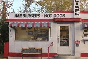 American Culture Prints: USA, Arizona, Bisbee: Shady Dell Motel, All Vintage Car Trailer Motel Dots Diner