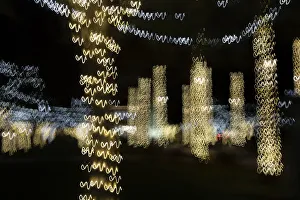 Images Dated 24th January 2021: USA, Arizona, Buckeye. Abstract of decorated trees at night during Christmas