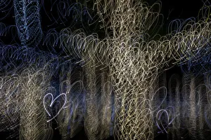 Images Dated 24th January 2021: USA, Arizona, Buckeye. Abstract of decorated trees at night during Christmas