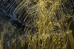 Images Dated 24th January 2021: USA, Arizona, Buckeye. Abstract of decorated trees at night during Christmas