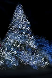 Festive Prints: USA, Arizona, Buckeye. Abstract motion of Christmas tree at night