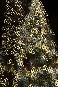 Images Dated 24th January 2021: USA, Arizona, Buckeye. Abstract motion of Christmas tree at night