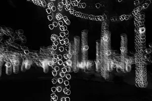 Images Dated 24th January 2021: USA, Arizona, Buckeye. Black and white abstract of decorated trees at night during