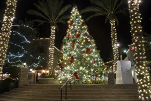 Lighting Prints: USA, Arizona, Buckeye. Christmas tree in the village square at night