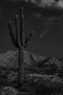 Astronomy Prints: USA, Arizona, Buckeye. Comet Neowise spews trail over White Tank Mountains and desert