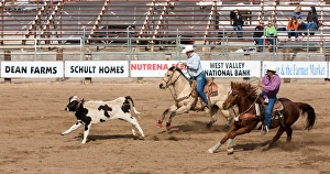 Images Dated 23rd January 2015: USA, Arizona, Buckeye, Hellzapoppin Arena