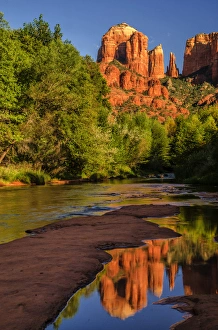 Sandstone Prints: USA, Arizona. Cathedral Rock reflects in creek