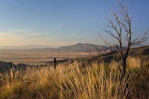 Dead Prints: USA, Arizona, Chiricahua National Monument. Landscape of Sugarloaf Mountain. Credit as
