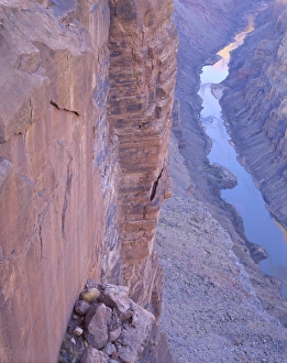 Images Dated 29th December 2011: USA, Arizona, Colorado River from Tuweep Overlook, Grand Canyon National Park