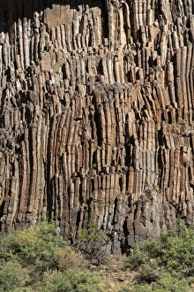 Lava Prints: USA, Arizona. Columnar basalt along the Colorado River, Grand Canyon National Park