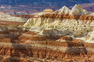 USA, Arizona. A desert area called Toad Stools