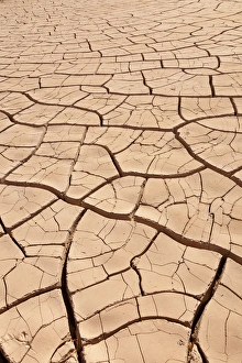 Images Dated 31st March 2012: USA, Arizona, Gila Bend. Dried up and cracked river- bottom mud