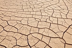 Bottom Prints: USA, Arizona, Gila Bend. Dried up and cracked river- bottom mud