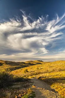 USA, Arizona, Globe. Desert landscape in Round Mountain Park