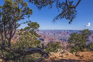 Images Dated 22nd July 2016: USA, Arizona, Grand Canyon, Grand Canyon National Park south rim