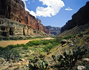 Images Dated 11th June 2010: USA, Arizona, Grand Canyon National Park, looking downriver from Nankoweap Canyon