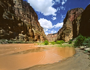 USA, Arizona, Grand Canyon National Park, view upriver from National Canyon