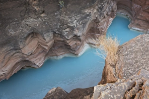 Images Dated 8th November 2014: USA, Arizona, Grand Canyon National Park. Havasu Creeks blue water flows through gorge