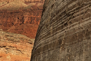 Images Dated 31st October 2014: USA, Arizona, Grand Canyon National Park. Striated sandstone wall in Marble Canyon