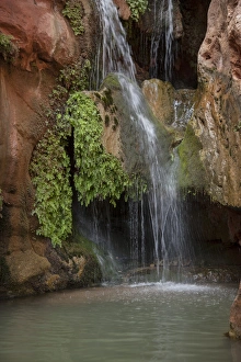 Images Dated 18th July 2013: USA, Arizona, Grand Canyon National Park