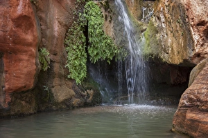 Images Dated 18th July 2013: USA, Arizona, Grand Canyon National Park