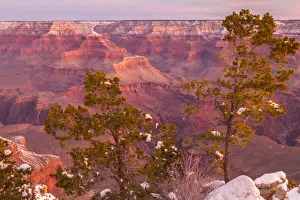 Images Dated 12th May 2020: USA, Arizona, Grand Canyon National Park. Sunrise on Mather Point