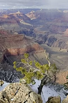 Images Dated 5th January 2007: USA, Arizona, Grand Canyon National Park. Grand Canyon in winter, as seen from Yavapai Point