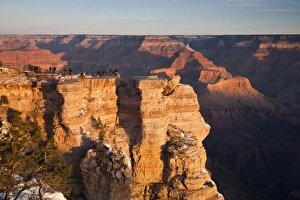 Images Dated 7th January 2009: USA, Arizona, Grand Canyon National Park. Mather Point, sunrise