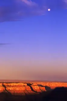 North Rim Prints: USA, Arizona, Grand Canyon NP. Moon in sky as dawn lights the canyon rim under a big sky