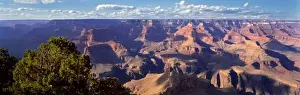 Eternal Prints: USA, Arizona, Grand Canyon NP. Soft afternoon light colors the scene from Mather Point