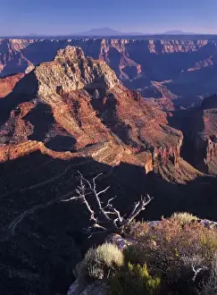 North Rim Prints: USA, Arizona, Grand Canyon NP. Vishnu Temple juts high above the canyon floor; Cape Royal