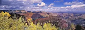 North Rim Prints: USA, Arizona, Grand Canyon NP. Vista Encantada from the North Rim of the Grand Canyon NP