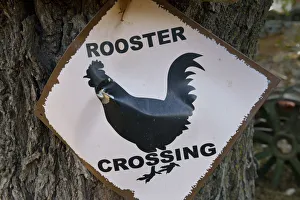 Jerome Prints: USA, Arizona, Jerome, Rooster Crossing sign, Gold King Mine