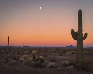 Images Dated 1st June 2021: USA, Arizona, Kofa National Wildlife Area. Mountain and desert landscape at sunset