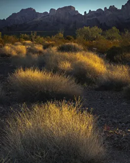 Images Dated 1st June 2021: USA, Arizona, Kofa National Wildlife Area. Mountain and desert landscape at sunrise