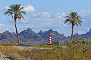 Golf Prints: USA, Arizona, Lake Havasu City