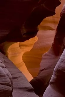 Images Dated 18th September 2007: USA, Arizona, Navajo Tribal Lands. Reflected sunlights creates amber walls in Slot Canyon X