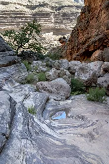 Oasis Prints: USA, Arizona. Near the mouth of Elves Chasm, Grand Canyon National Park