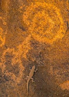 Images Dated 17th February 2015: USA, Arizona, Painted Rock Petroglyph Site
