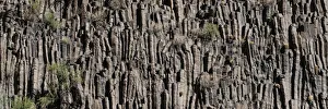 Lava Prints: USA, Arizona. Panoramic. Lava cliffs, Columnar Basalt, Grand Canyon National Park