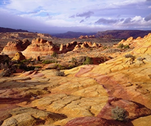 USA; Arizona; Paria Canyon