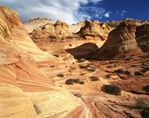Eroded Prints: USA, Arizona, Paria Canyon, Sandstone formations at Coyote Buttes area