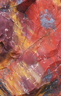 Petrified Forest Np Prints: USA, Arizona, Petrified Forest National Park