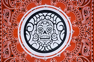 Fabric Prints: USA, Arizona, Phoenix, Desert Botanical Garden. Bandana with skull design. Credit as