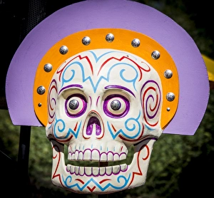 Images Dated 1st November 2014: USA, Arizona, Phoenix, Desert Botanical Garden. Arty skull displayed at celebration