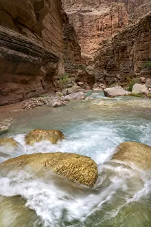 Images Dated 24th June 2020: USA, Arizona. Reeds growing along Havasu Creek, Havasu Creek Canyon