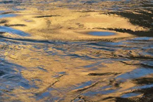 Images Dated 16th January 2021: USA, Arizona. Reflections on the water, Colorado River, Grand Canyon National Park